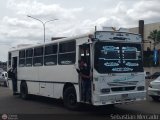 Colectivos La Rosita 016