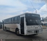 Colectivo Matera Nueva 05