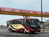 Empresa de Transporte Per Bus S.A. 741, por Leonardo Saturno