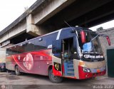 Panamericana Internacional 606 Miral Autobuses Infinity 370 Volkswagen 17.210 OD