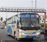 E.T. Maleo VIP (Per) 962