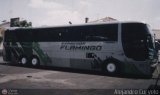 Expresos Flamingo 52