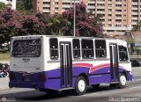 Transporte Privado Joaranny 194