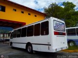 Colectivo Los Andes (Mrida - El Vigia) 38