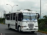 U.C. San Antonio S.C. 132, por Oliver Castillo