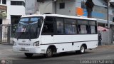 ME - S.C. de A. Por Puestos Lnea Humboldt 40 Carroceras Mariara Didibus NPR 2G Chevrolet NPR Turbo Isuzu
