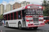 Transporte Palo Negro La Morita 2 047 por Andrs Ascanio