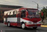 Transporte Privado Joaranny 202