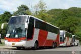 Particular MundiExpress 01