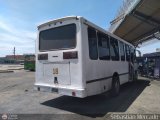 ZU - Colectivos Concepcin 018, por Sebastin Mercado