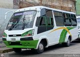 TA - Lnea Concordia 36