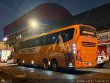 Transportes Hermanos Ponce 965 por Leonardo Saturno
