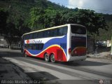 Expresos Occidente 316