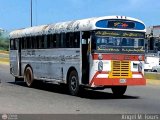 Colectivos Tul C.A. 06