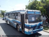 CA -  Transporte Valca 90 C.A. 29