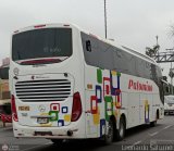 Expreso Internacional Palomino 7023, por Leonardo Saturno