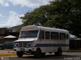 TA - A.C. Lnea Intercomunal 41 Encava Mini-Bird Chevrolet - GMC P31 Nacional