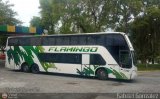 Expresos Flamingo 0130