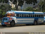 Transporte Colectivo Palo Negro 078 Blue Bird Convencional No Integral International 3800