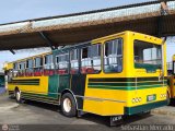 ZU - Colectivos Concepcin 075