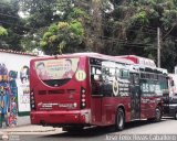 TransMonagas 11 Yutong ZK6118HGA GNC (Segunda Gen) Integral Cummins ISLgeEV 320Hp