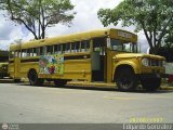 Universitarios y Escolares 22 Wayne Unknow2 Dodge D600