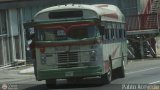 MI - Colectivos El Encanto 97, por Pablo Acevedo
