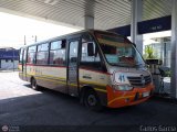 Sin identificacin o Desconocido 41 Artesanal o Desconocido Sin Nombre Mercedes-Benz LO-916 BlueTEC 5
