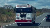 Unin Gurico 04