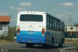 A.C. de Transporte Encarnaci�n 373
