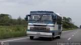 Colectivos El Viga 31, por Leonardo Saturno