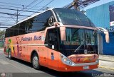 Pullman Bus 0135 por Jerson Nova