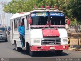 ZU - Transporte Mixto Los Cortijos 003