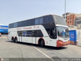 Expresos Camargi 1031