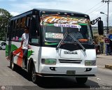 TA - A.C. Autos por puesto Lnea Palmira 054, por Jerson Nova