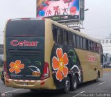 Cetur S.R.L. 966 Marcopolo Paradiso G7 1600LD Mercedes-Benz O-500RSD