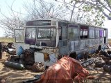 En Chiveras Abandonados Recuperacin ND Marcopolo Veneza II Desconocido NPI