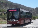 Bus Viga 96