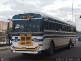 ZU - Ral Leoni 35