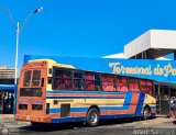 Expresos Pegamar 1063