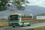 Cooperativa Canaima 40