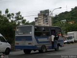 CA - Unin Vivienda Popular Los Guayos 013