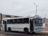 Colectivos La Rosita 014
