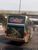 Cetur S.R.L. 954 Comil Campione 3.45 Mercedes-Benz O-500R