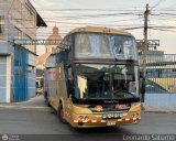 Transporte Flores Hermanos S.R.L (Per) 960