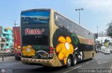 Transporte Flores Hermanos S.R.L (Per) 960