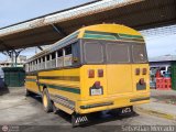 ZU - Colectivos Concepcin 013
