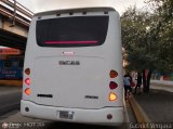 U.C. Caracas - Los Caracas 298