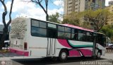Expresos Camargi ND CAndinas - Carroceras Andinas U1400 Chevrolet CHR660