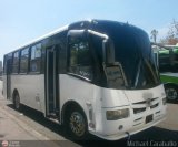 Organizacin Guaicamacuto 411